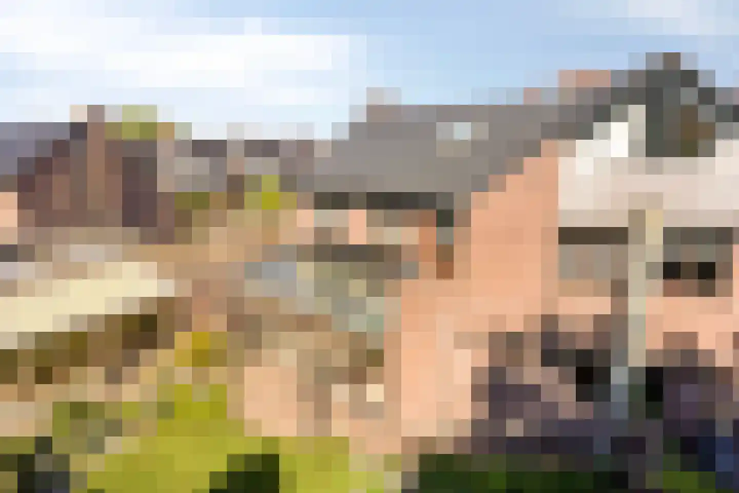 Meidoornlaan 17 Roosendaal thumbnail 90