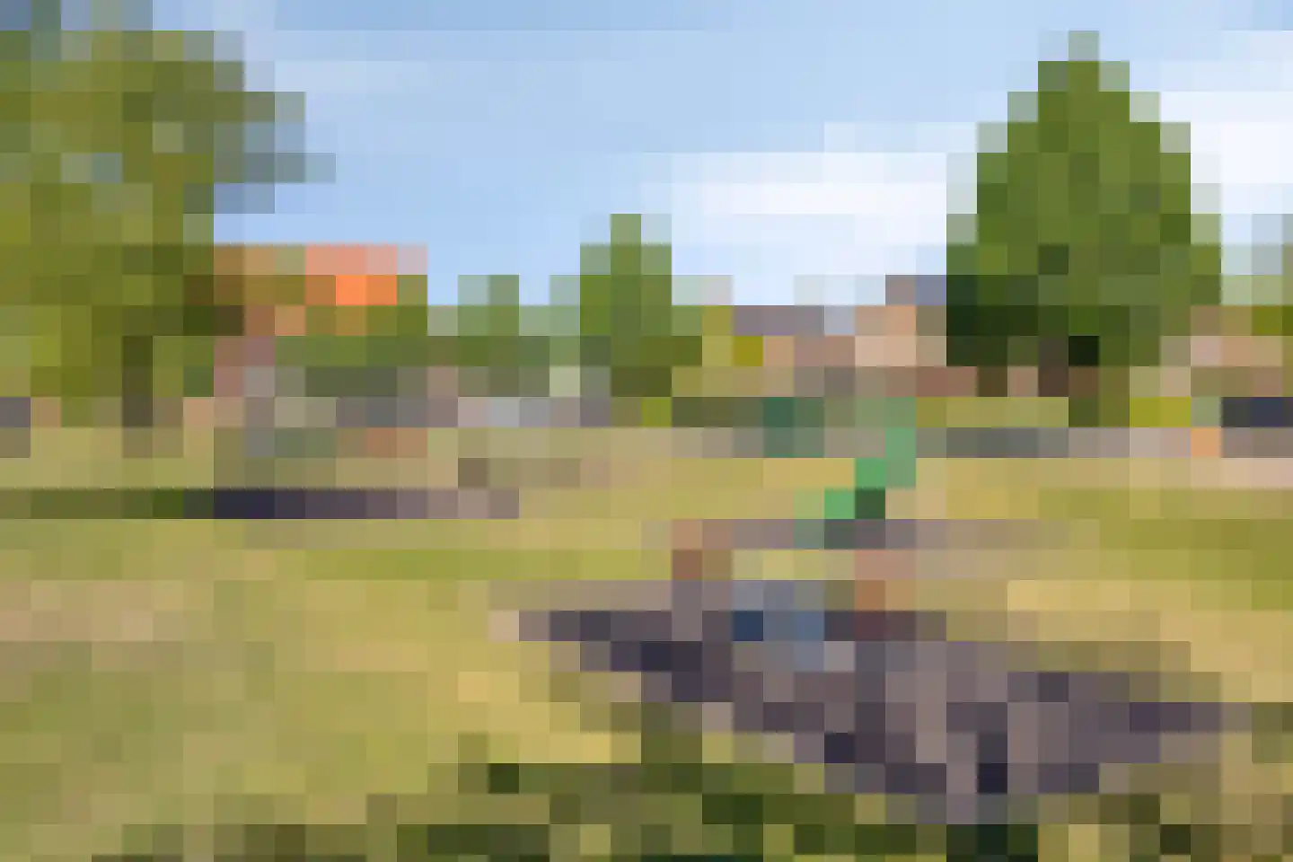 Meidoornlaan 17 Roosendaal thumbnail 94