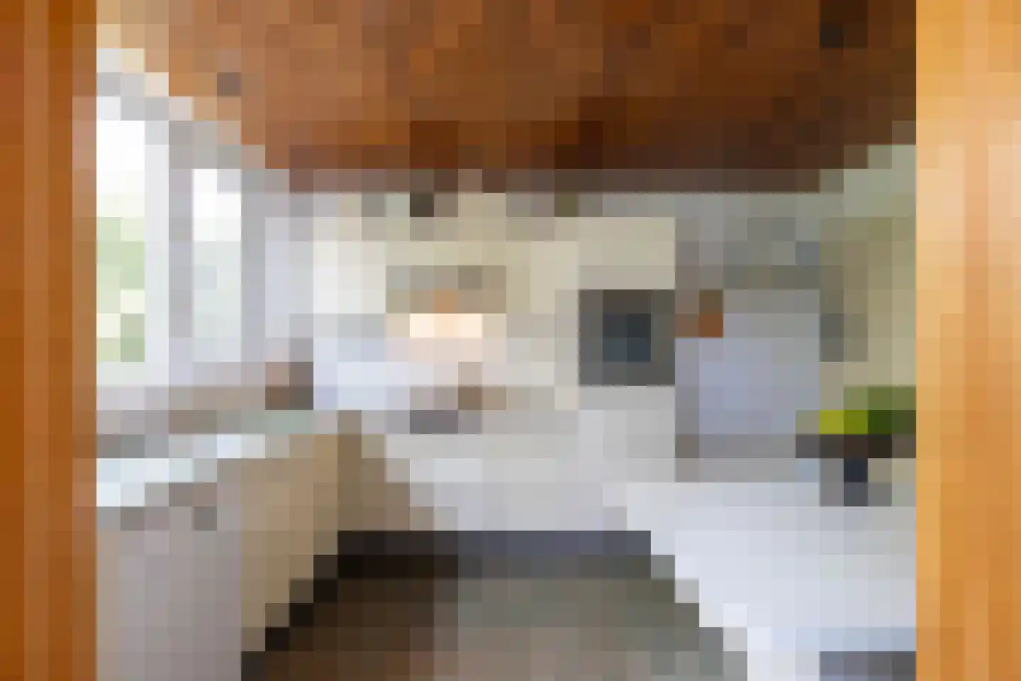 Meidoornlaan 19 Rotterdam thumbnail 10
