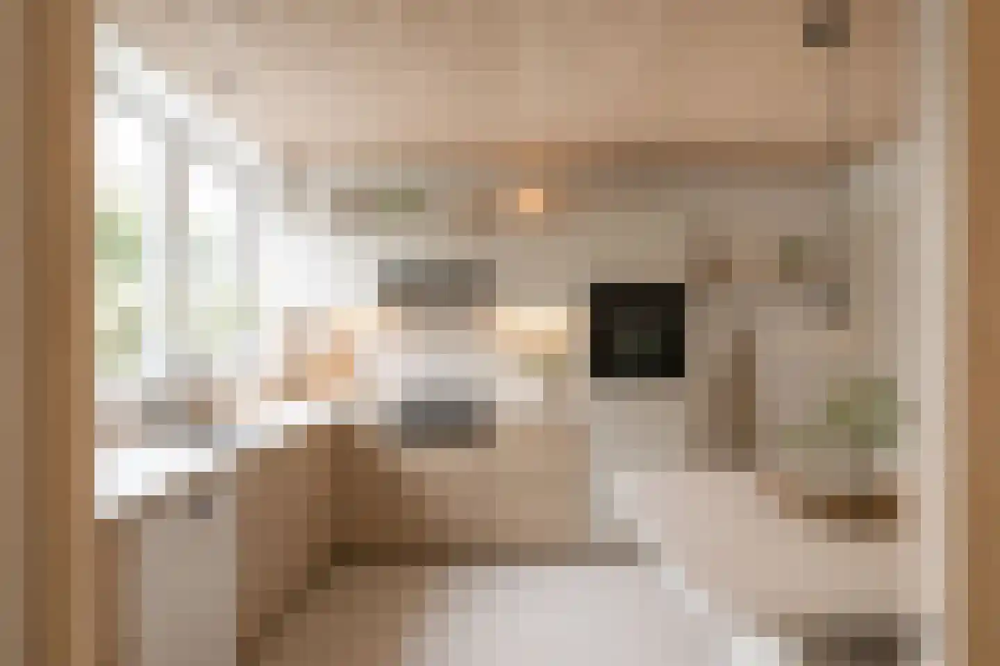 Meidoornlaan 19 Rotterdam thumbnail 11