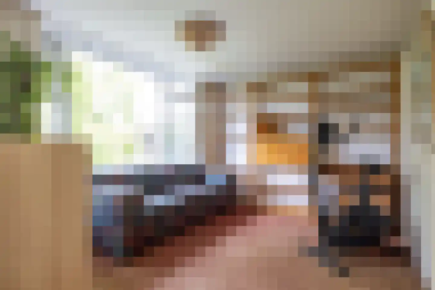Meidoornlaan 19 Rotterdam thumbnail 19