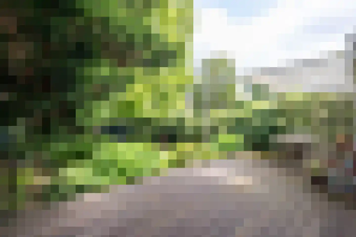 Meidoornlaan 19 Rotterdam thumbnail 28