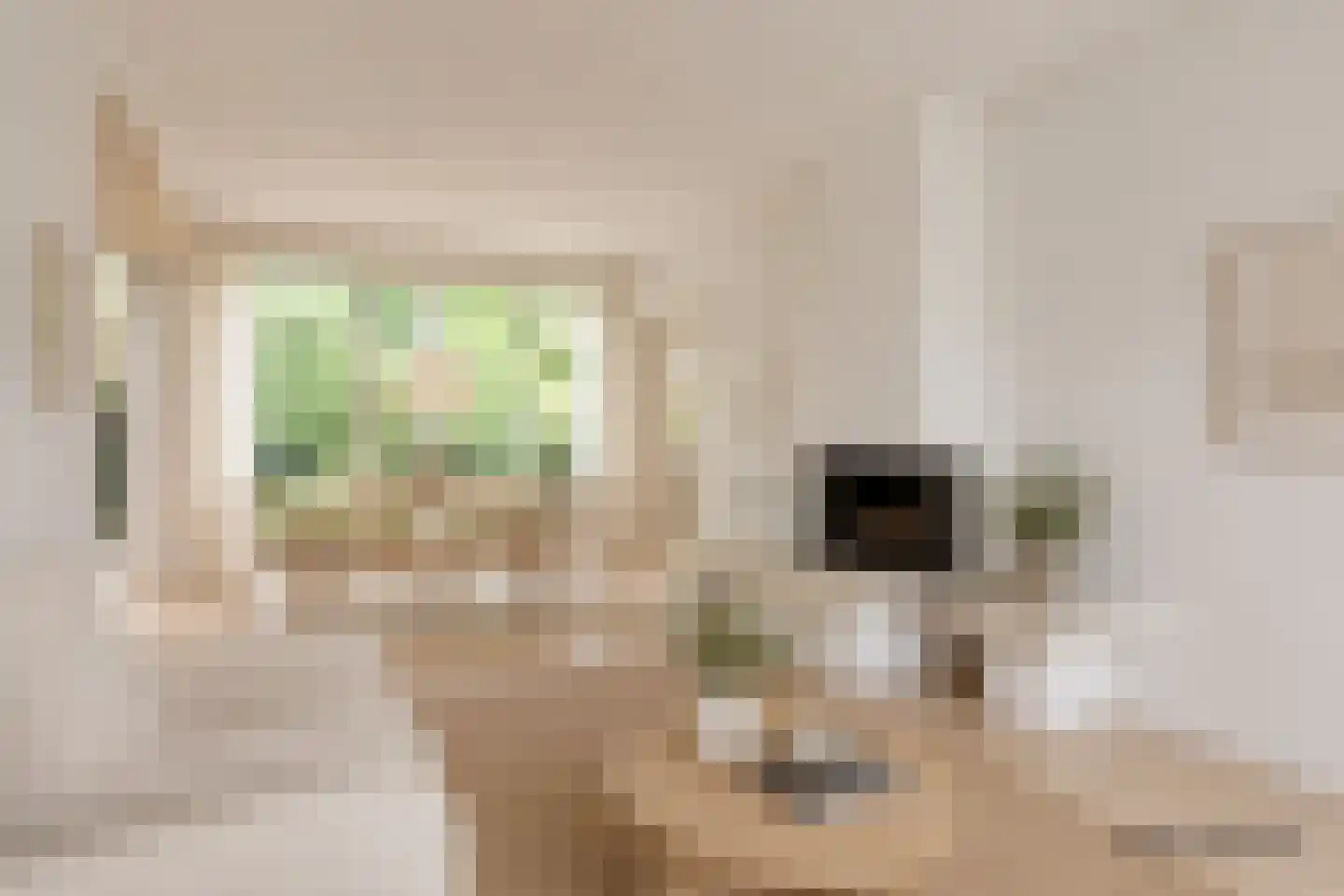Meidoornlaan 19 Rotterdam thumbnail 7