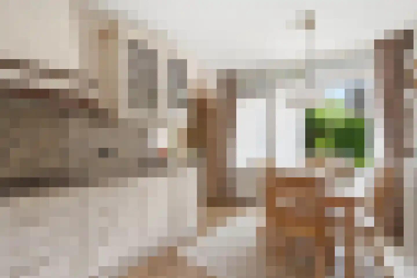 Meidoornlaan 19 Wanroij thumbnail 11