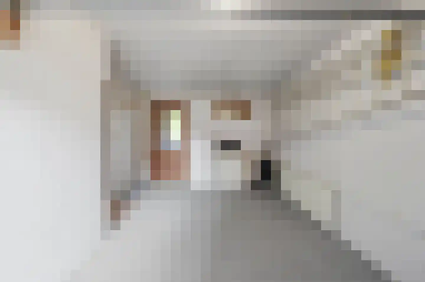 Meidoornlaan 19 Wanroij thumbnail 14