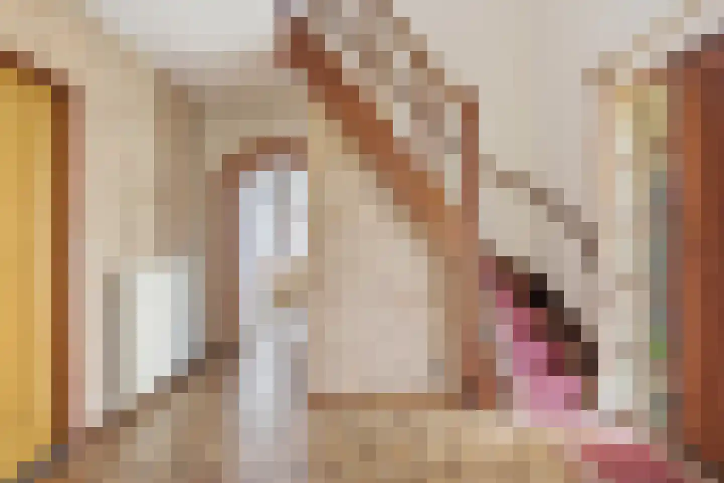 Meidoornlaan 19 Wanroij thumbnail 19