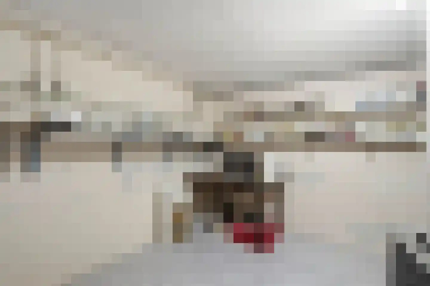 Meidoornlaan 19 Wanroij thumbnail 32