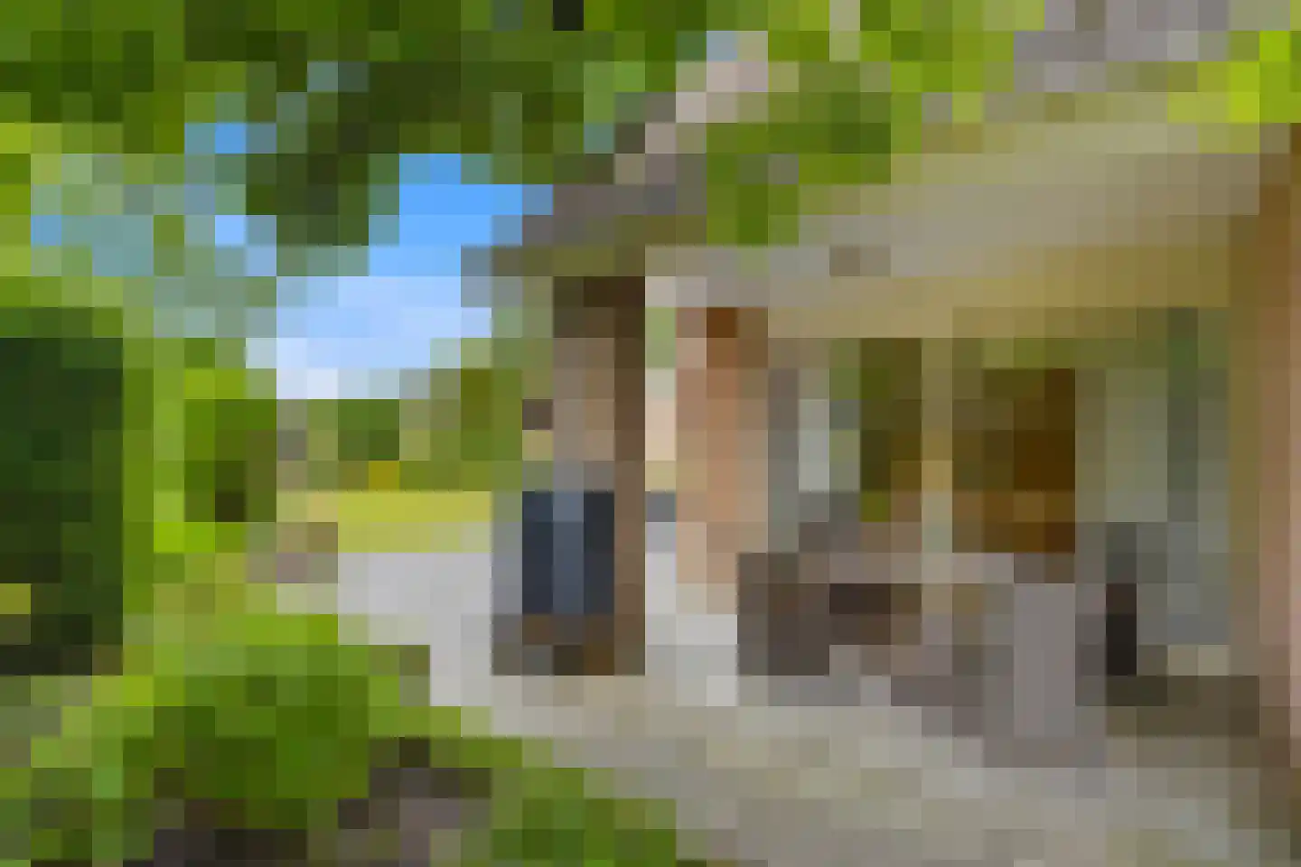 Meidoornlaan 19 Wanroij thumbnail 34