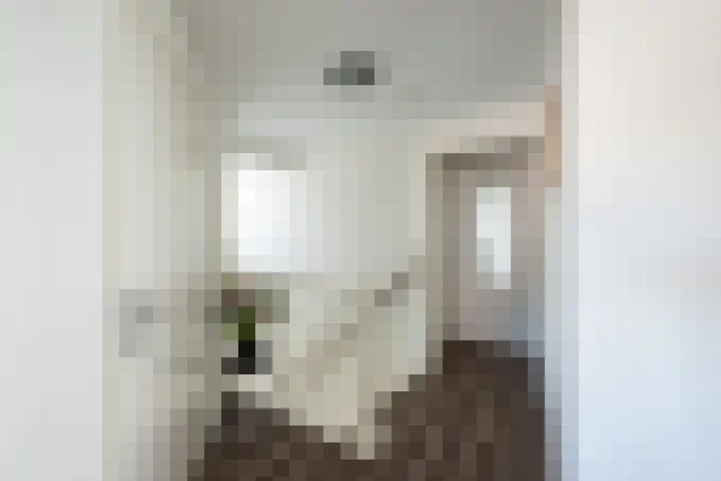 Meidoornlaan 2 a Heerde thumbnail 13