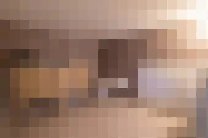 Meidoornlaan 2 A Winschoten thumbnail 29