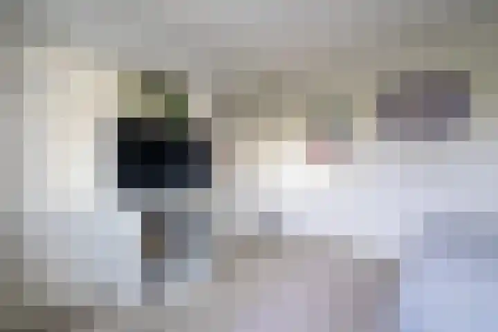 Meidoornlaan 2 A Winschoten thumbnail 33