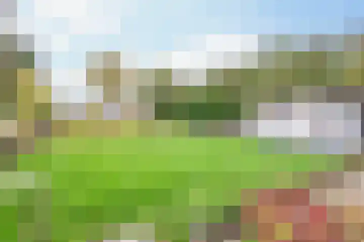 Meidoornlaan 2 A Winschoten thumbnail 37