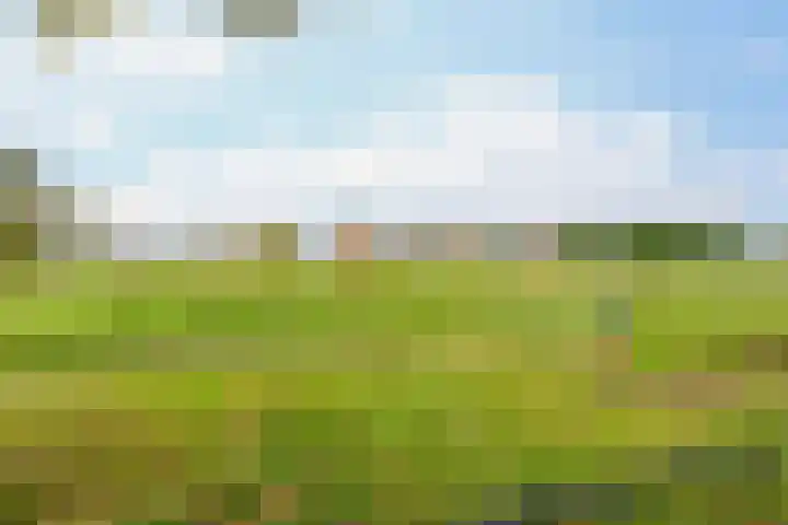 Meidoornlaan 2 A Winschoten thumbnail 39