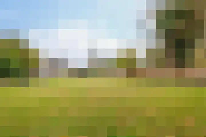 Meidoornlaan 2 A Winschoten thumbnail 40