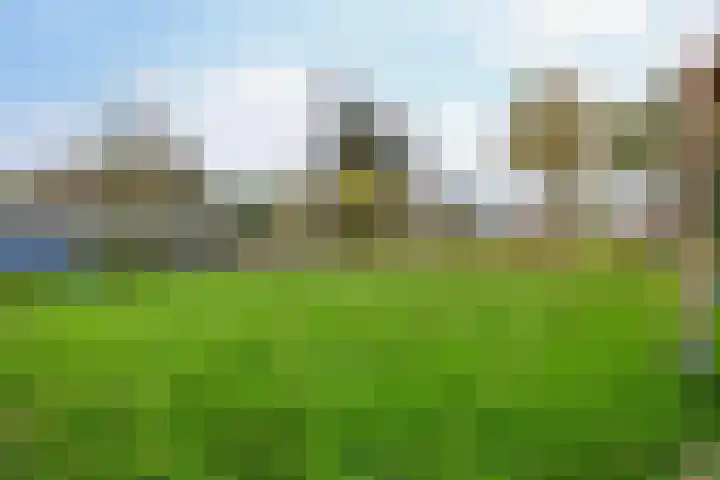 Meidoornlaan 2 A Winschoten thumbnail 41
