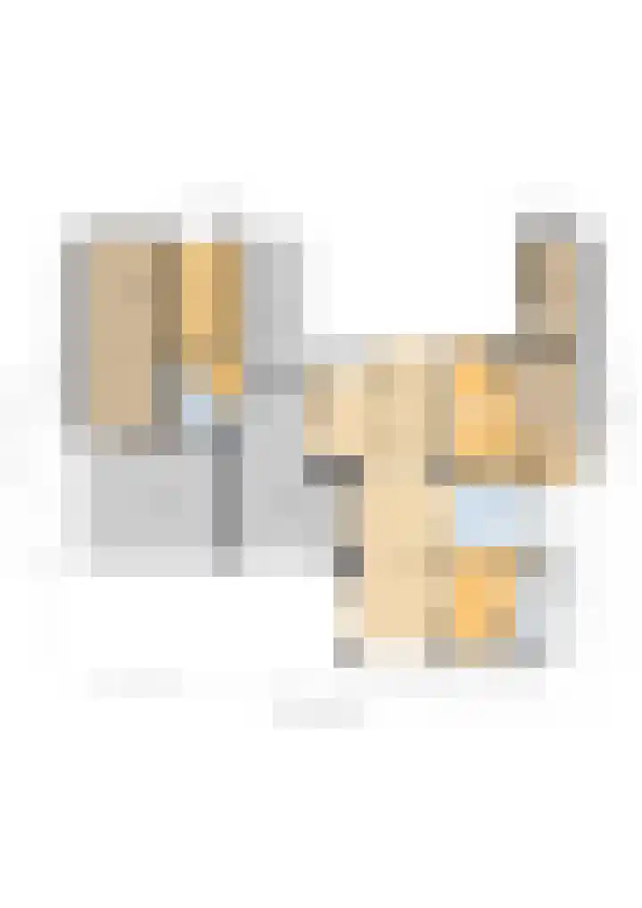 Meidoornlaan 2 A Winschoten thumbnail 42
