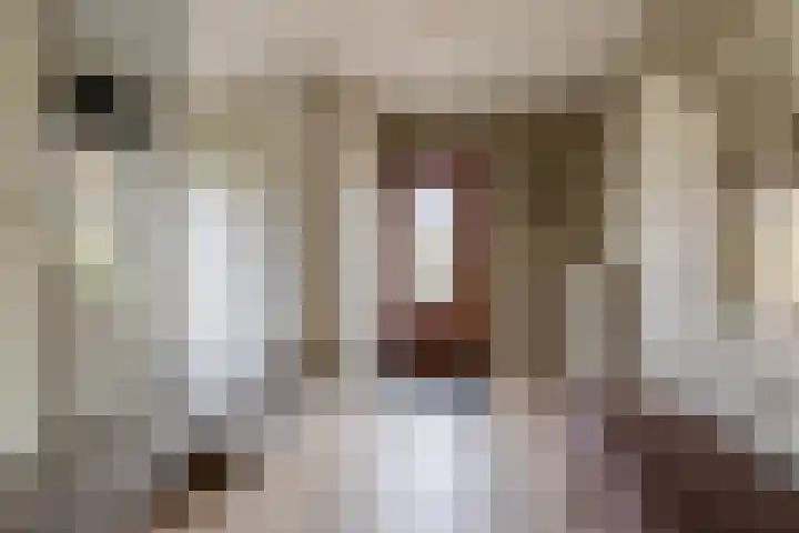 Meidoornlaan 2 A Winschoten thumbnail 9