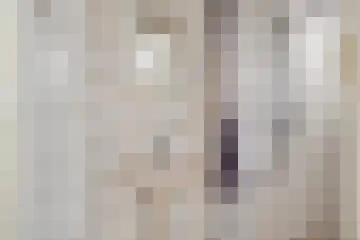 Meidoornlaan 2 Nieuw-Buinen thumbnail 15