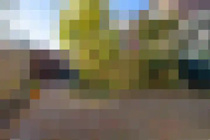 Meidoornlaan 2 Nieuw-Buinen thumbnail 18