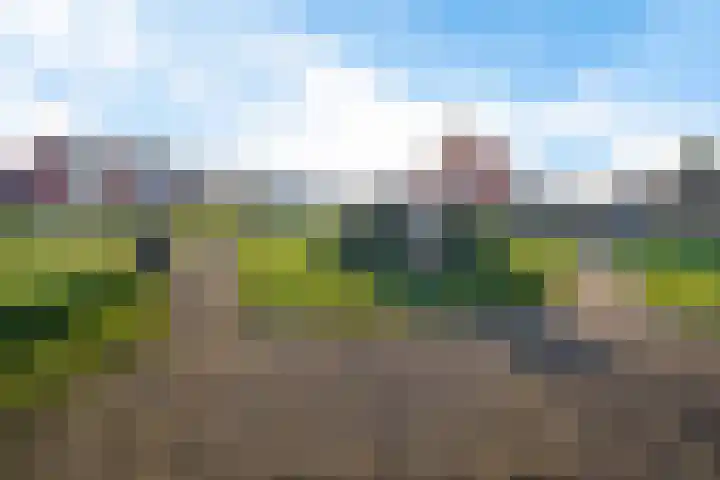 Meidoornlaan 2 Nieuw-Buinen thumbnail 21