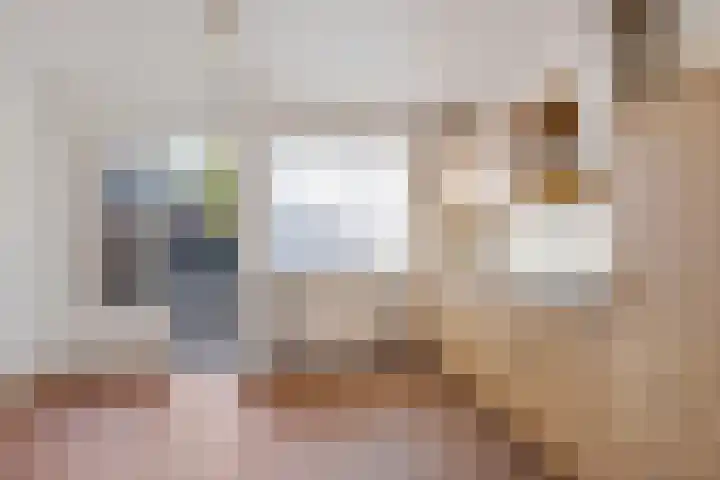 Meidoornlaan 2 Nieuw-Buinen thumbnail 9