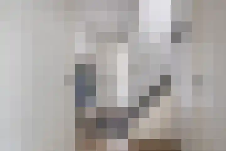 Meidoornlaan 2 Tegelen thumbnail 12