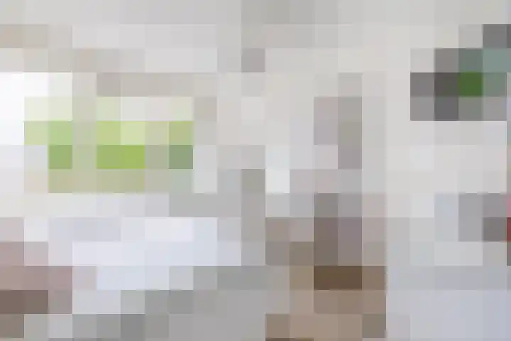 Meidoornlaan 2 Tegelen thumbnail 15