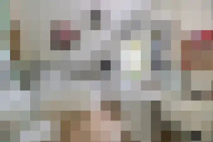 Meidoornlaan 2 Tegelen thumbnail 16