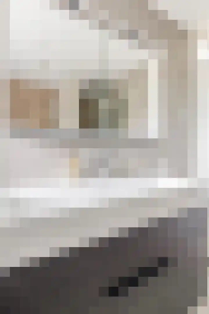 Meidoornlaan 2 Tegelen thumbnail 18