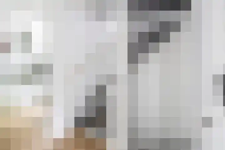 Meidoornlaan 2 Tegelen thumbnail 19