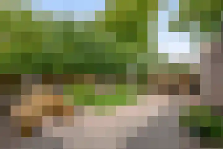 Meidoornlaan 2 Tegelen thumbnail 21