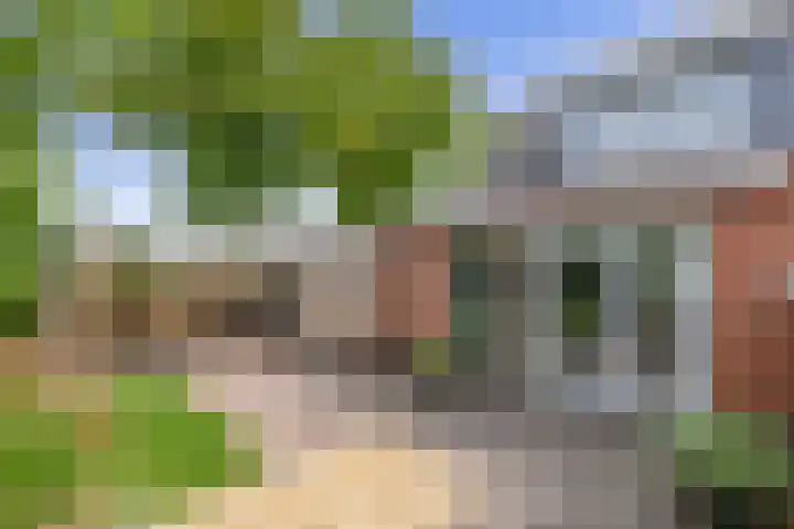 Meidoornlaan 2 Tegelen thumbnail 22