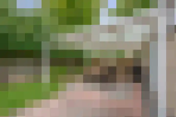 Meidoornlaan 2 Tegelen thumbnail 23
