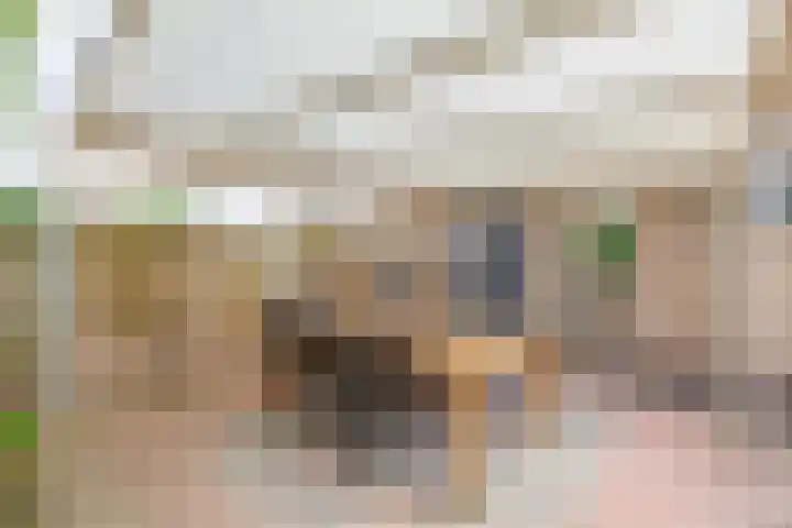 Meidoornlaan 2 Tegelen thumbnail 25
