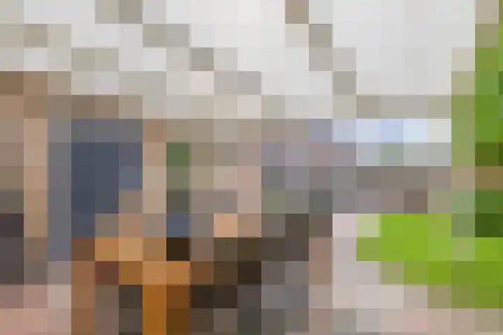 Meidoornlaan 2 Tegelen thumbnail 26