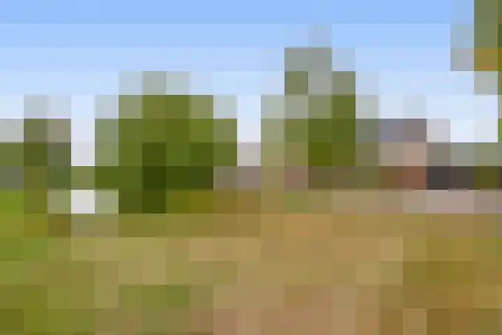 Meidoornlaan 2 Tegelen thumbnail 28