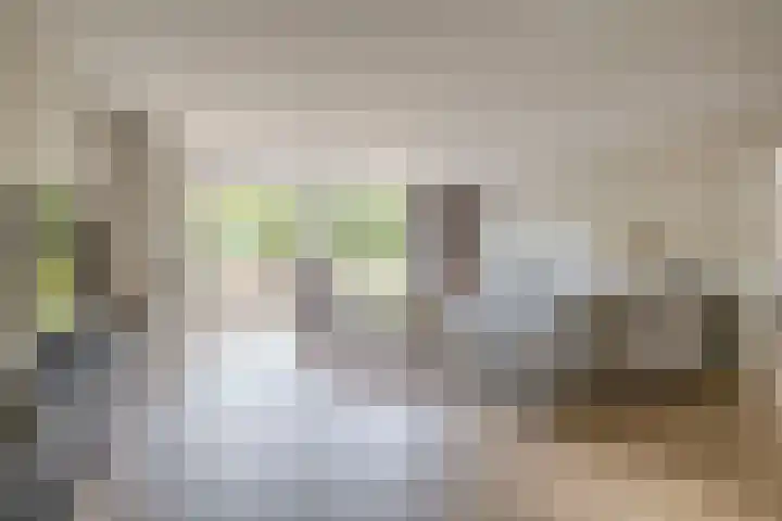 Meidoornlaan 2 Tegelen foto 3