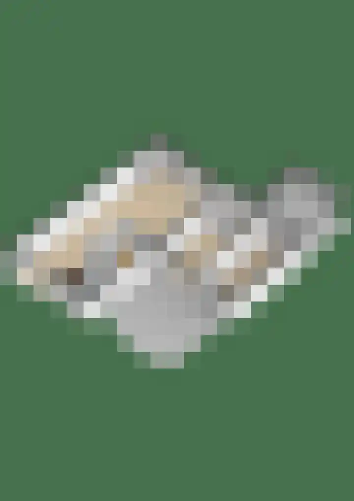 Meidoornlaan 2 Tegelen thumbnail 30