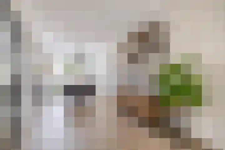 Meidoornlaan 2 Tegelen thumbnail 6