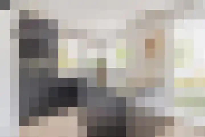 Meidoornlaan 2 Tegelen thumbnail 8