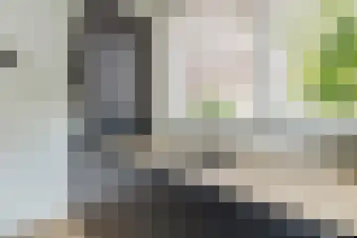 Meidoornlaan 2 Tegelen thumbnail 9