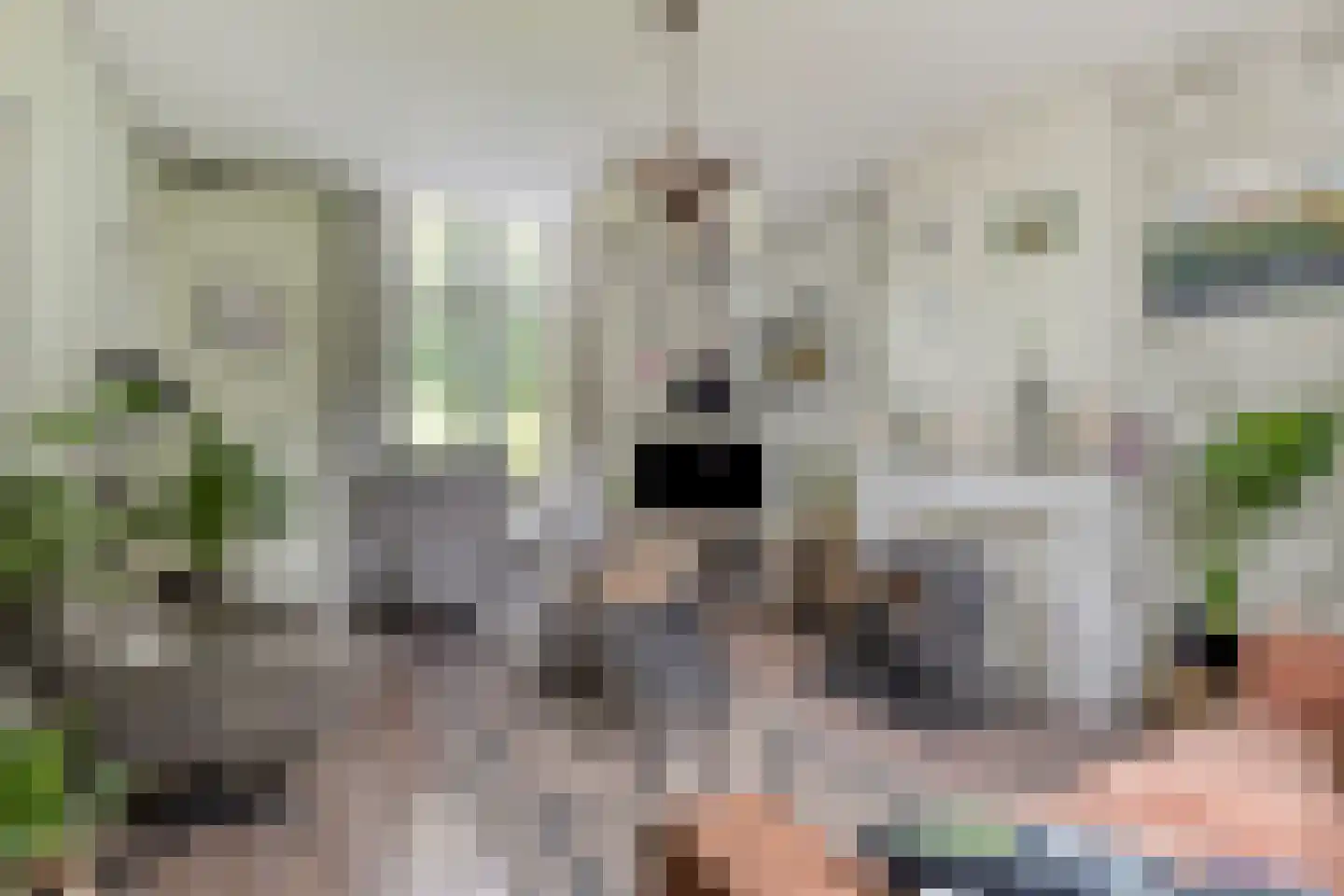 Meidoornlaan 2 Veenhuizen thumbnail 10
