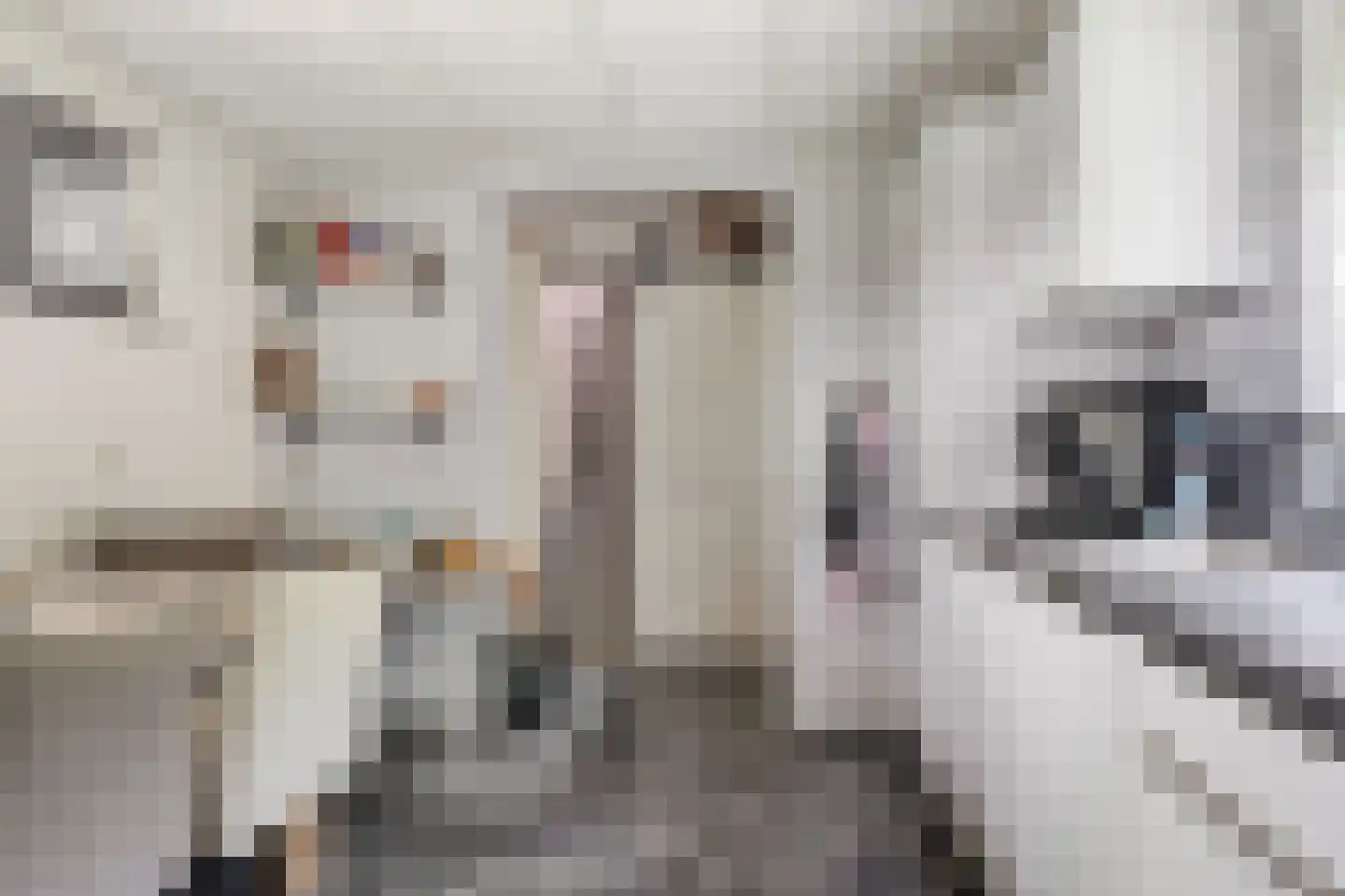 Meidoornlaan 2 Veenhuizen thumbnail 13