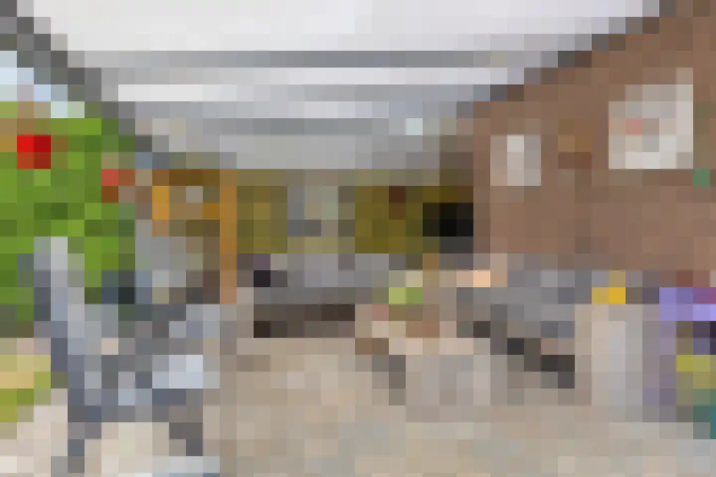 Meidoornlaan 2 Veenhuizen thumbnail 27