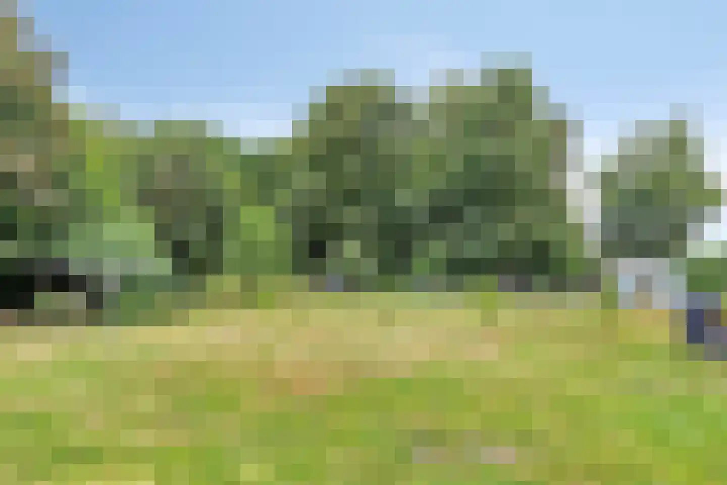 Meidoornlaan 2 Veenhuizen thumbnail 28