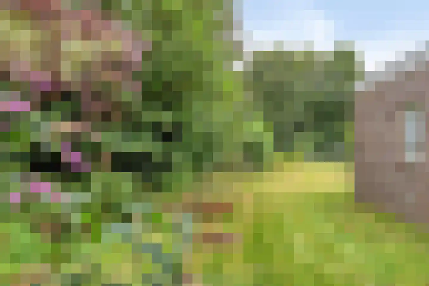 Meidoornlaan 2 Veenhuizen thumbnail 36