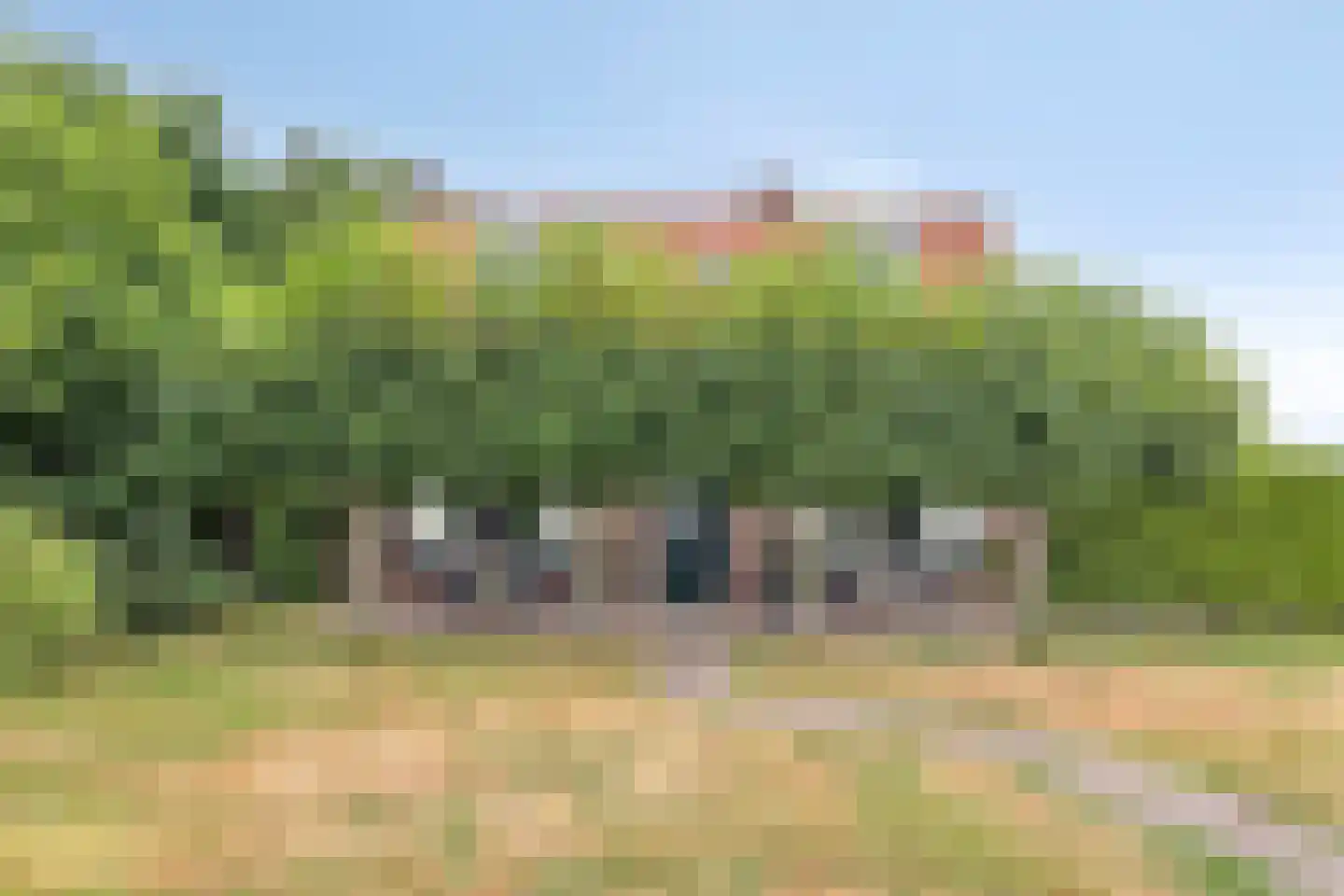 Meidoornlaan 2 Veenhuizen thumbnail 7