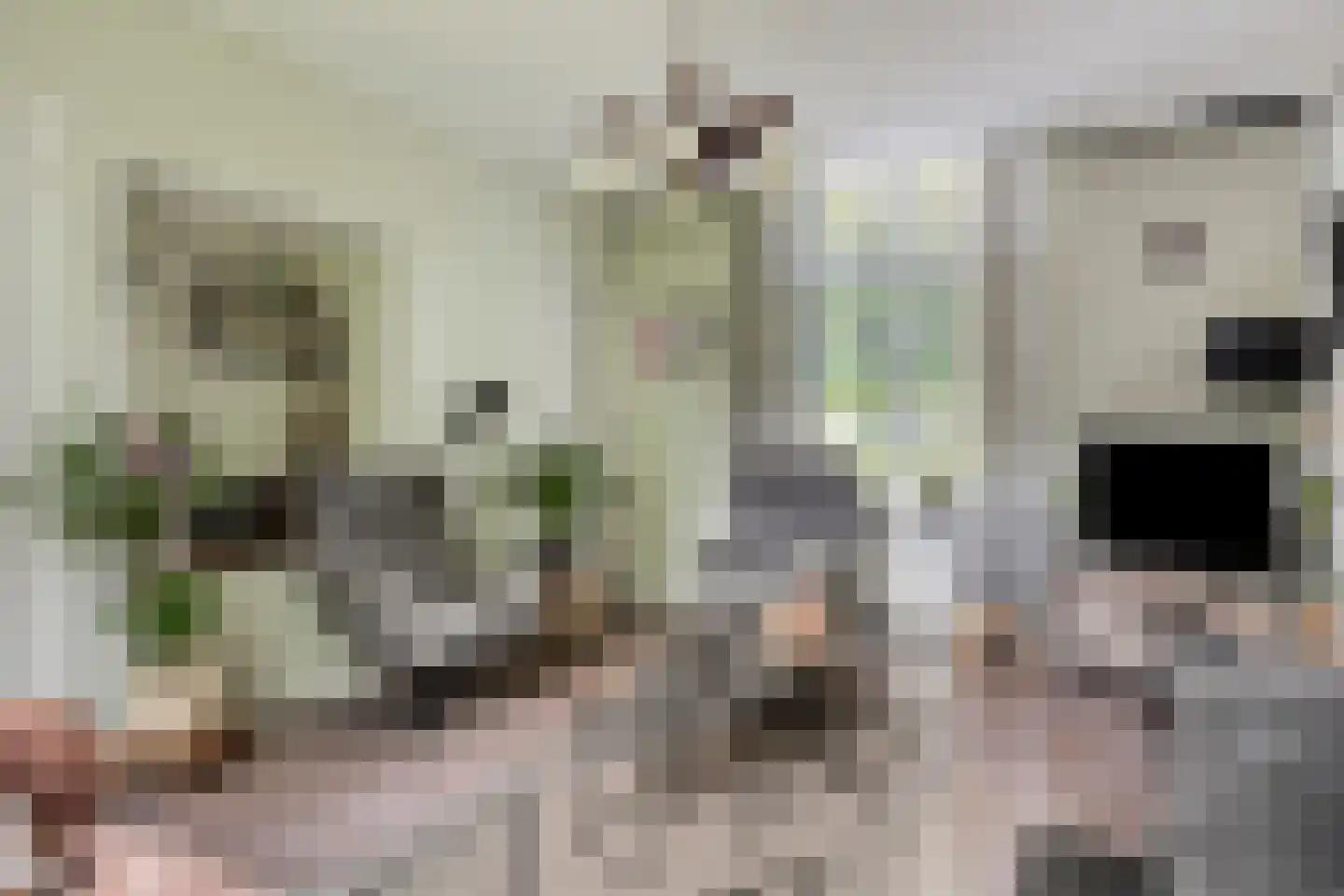 Meidoornlaan 2 Veenhuizen thumbnail 9