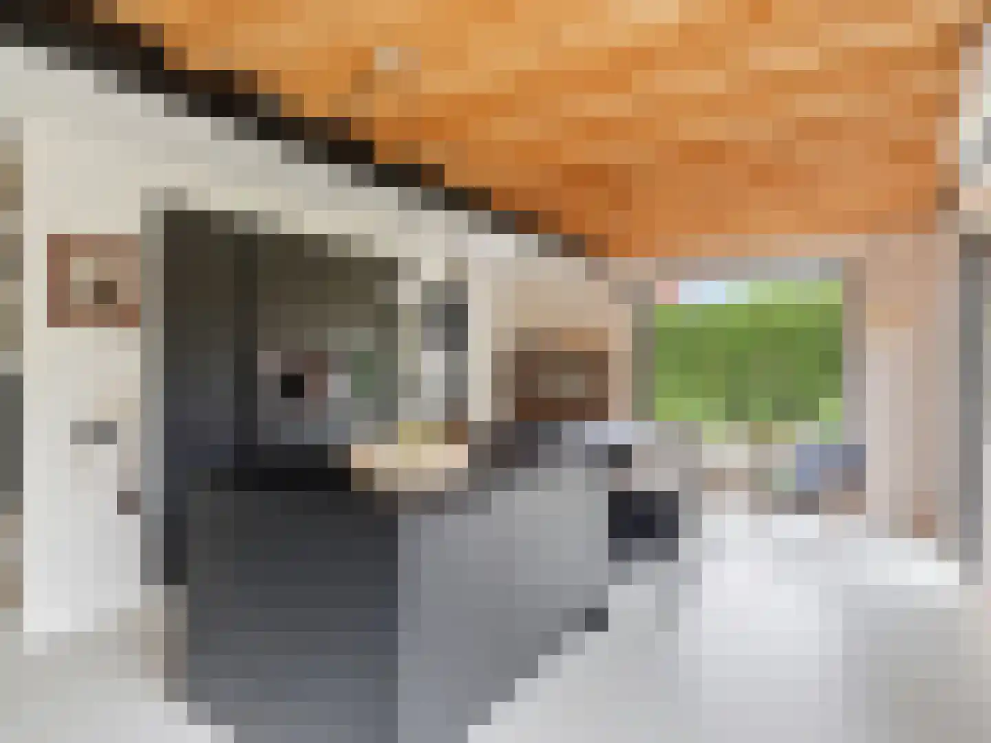 Meidoornlaan 2 Warnsveld thumbnail 13