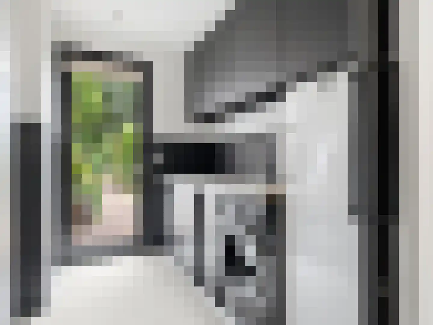 Meidoornlaan 2 Warnsveld thumbnail 17